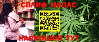 прущие грибы Тула