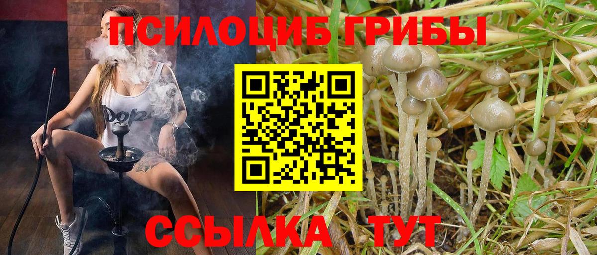 Псилоцибиновые грибы прущие грибы Ялта