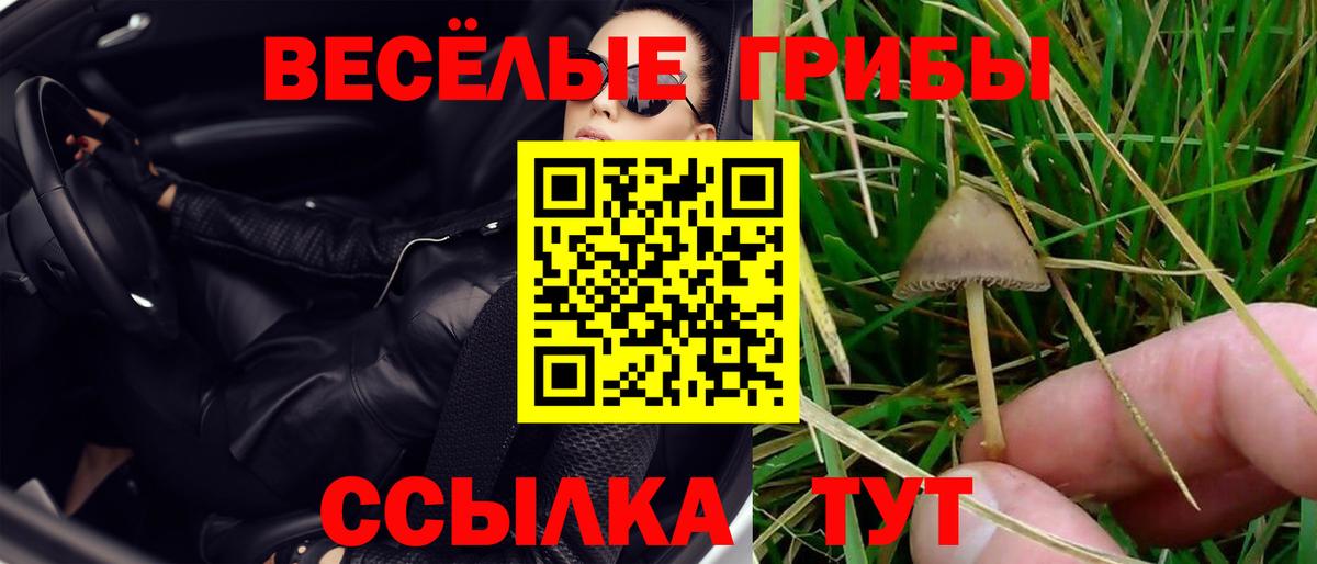 даркнет сайт  Псилоцибиновые грибы мицелий  Вход с VPN  Галлюциногенные грибы прущие грибы  Ялта 